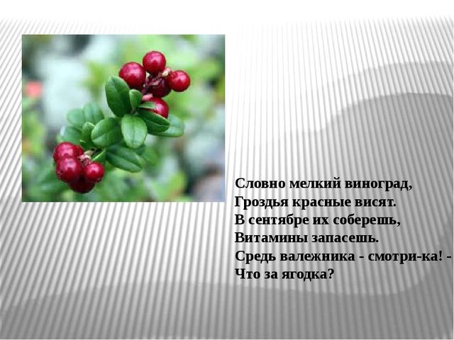 ИКТ к конспекту "Моя малая Родина-республика Коми"
