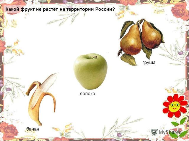 Презентация .Зеленые тропинки.А.А.Плешаков.Тема "Овощи и фрукты""