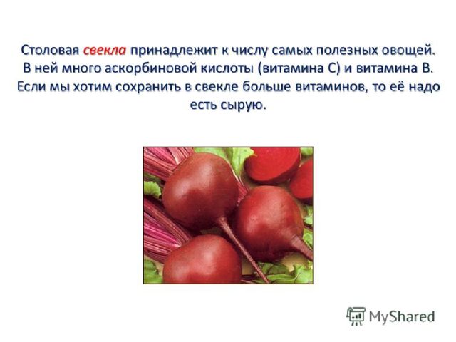 Презентация .Зеленые тропинки.А.А.Плешаков.Тема "Овощи и фрукты""