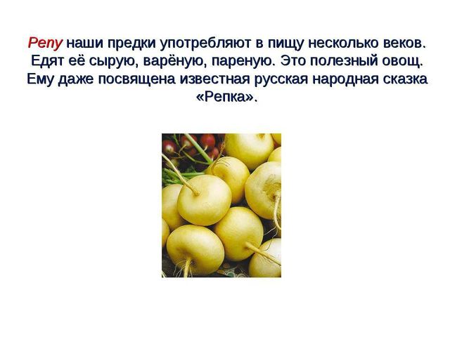 Презентация .Зеленые тропинки.А.А.Плешаков.Тема "Овощи и фрукты""