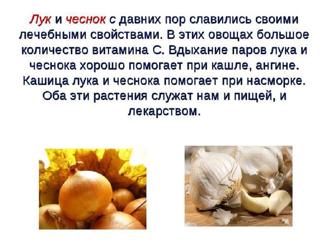 Презентация .Зеленые тропинки.А.А.Плешаков.Тема "Овощи и фрукты""