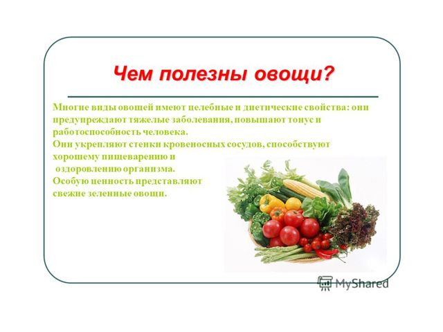 Презентация .Зеленые тропинки.А.А.Плешаков.Тема "Овощи и фрукты""