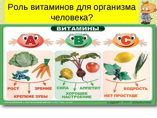Презентация .Зеленые тропинки.А.А.Плешаков.Тема "Овощи и фрукты""