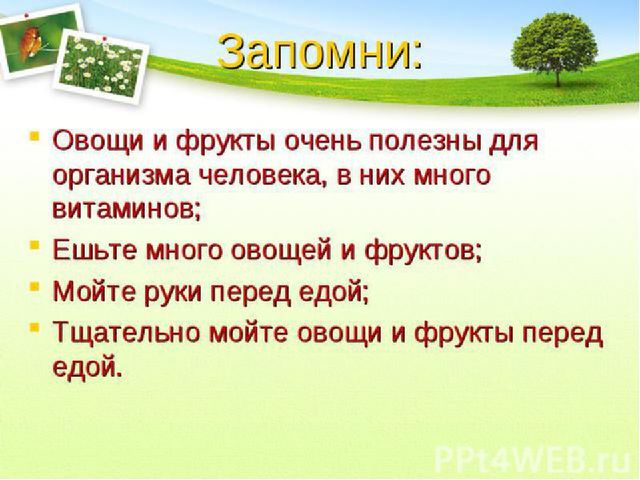 Презентация .Зеленые тропинки.А.А.Плешаков.Тема "Овощи и фрукты""