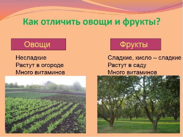 Презентация .Зеленые тропинки.А.А.Плешаков.Тема "Овощи и фрукты""