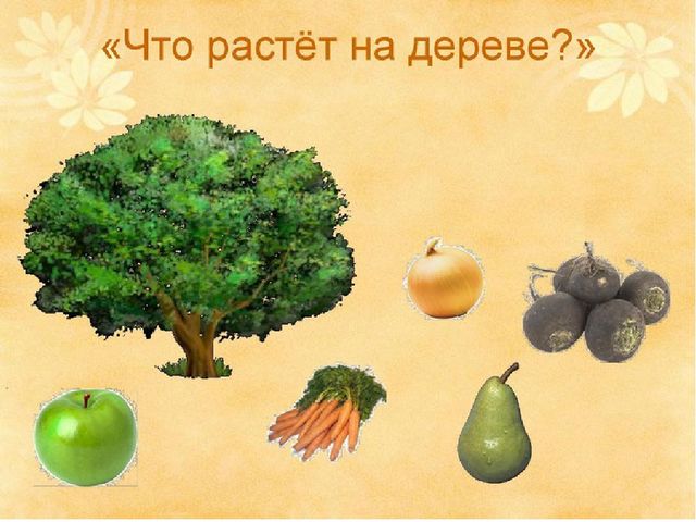 Презентация .Зеленые тропинки.А.А.Плешаков.Тема "Овощи и фрукты""