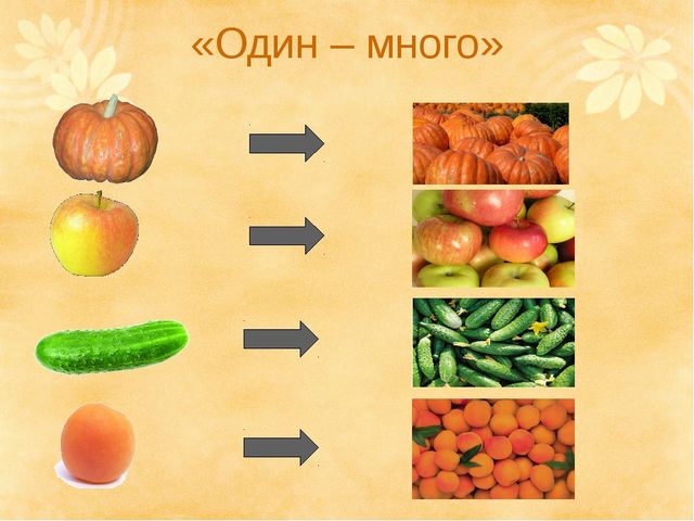 Презентация .Зеленые тропинки.А.А.Плешаков.Тема "Овощи и фрукты""