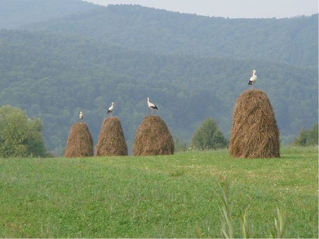 Презентация по теме патриотического воспитания "Россия-великая Держава"