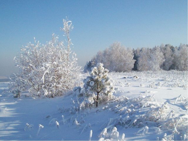Презентация к занятию "Зима - волшебница"