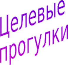 Shape4