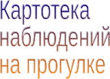 Shape5