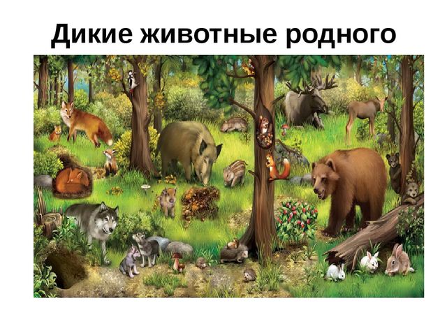 Дикие животные родного края по развитию речи