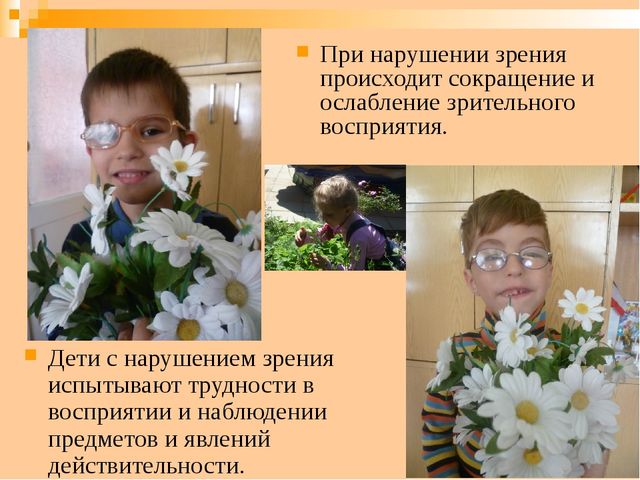 Выступление на родительском собрании на тему: «Коррекционная работа по развитию зрительного восприятия детей с нарушением зрения»