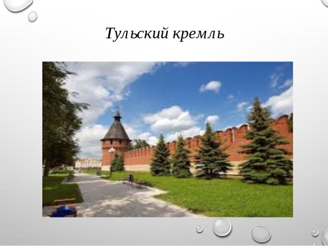 Проект про тулу