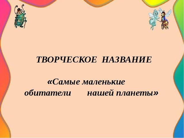 Педагогический проект "Насекомые нашей планеты"
