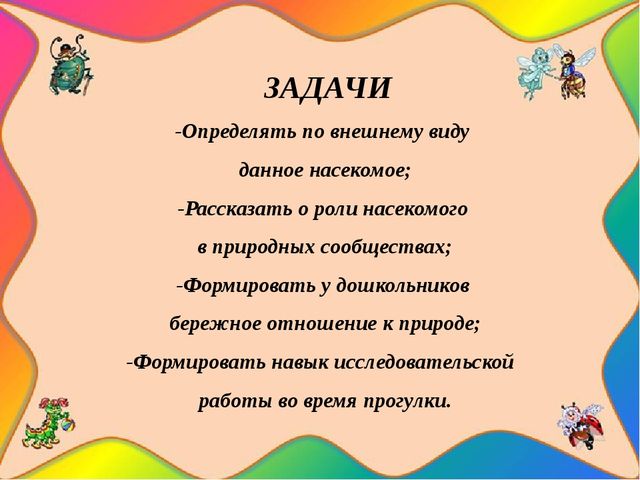 Педагогический проект "Насекомые нашей планеты"
