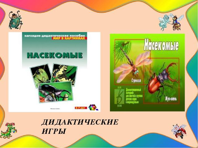 Педагогический проект "Насекомые нашей планеты"