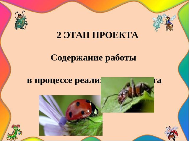 Педагогический проект "Насекомые нашей планеты"