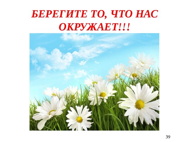 Педагогический проект "Насекомые нашей планеты"