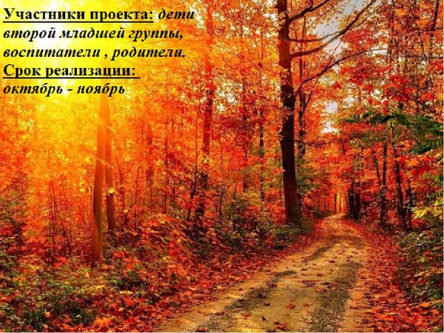 Познавательно-творческий проект "Осень" во второй младшей группе