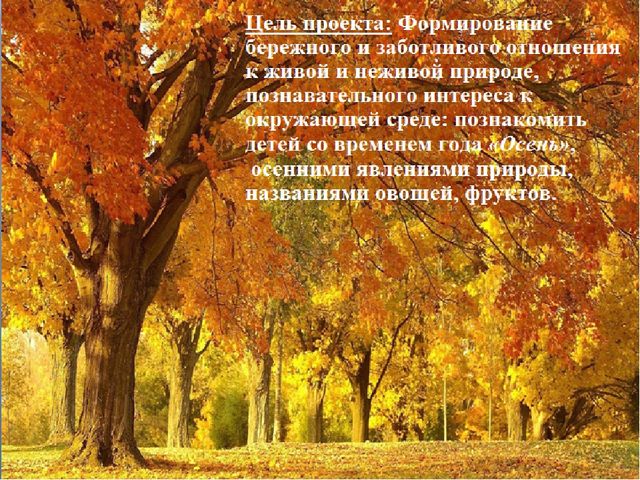Познавательно-творческий проект "Осень" во второй младшей группе