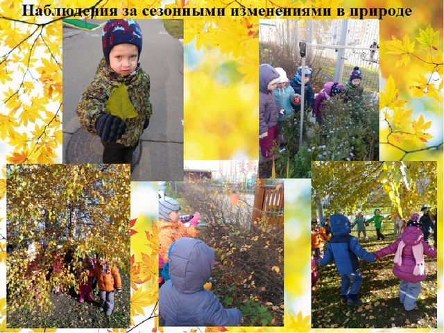 Познавательно-творческий проект "Осень" во второй младшей группе