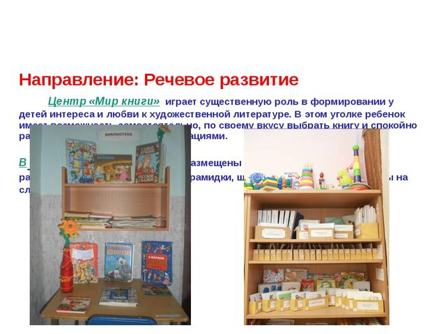 Презентация на тему: "Предметно-развивающая среда в детском саду в рамках ФГОС"