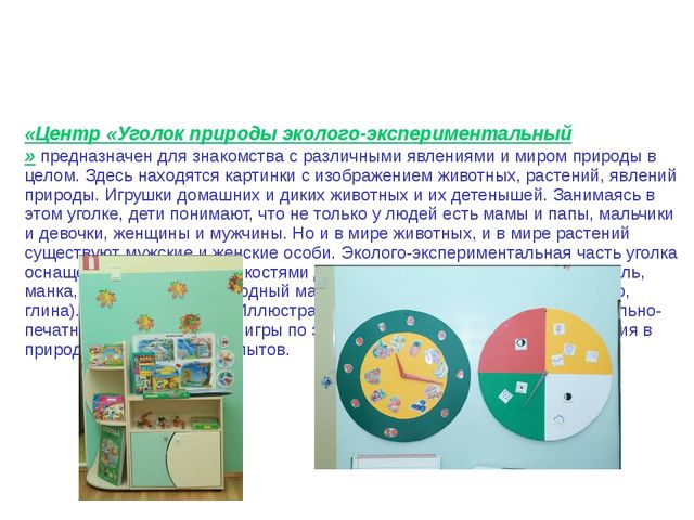 Презентация на тему: "Предметно-развивающая среда в детском саду в рамках ФГОС"