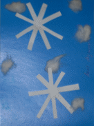 SDC10185.JPG
