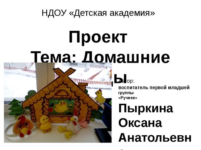 ПРОЕКТ по познавательному развитию в 1 младшей группе на тему: "Домашние птицы"