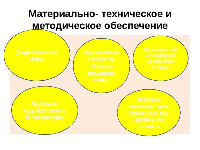 ПРОЕКТ по познавательному развитию в 1 младшей группе на тему: "Домашние птицы"