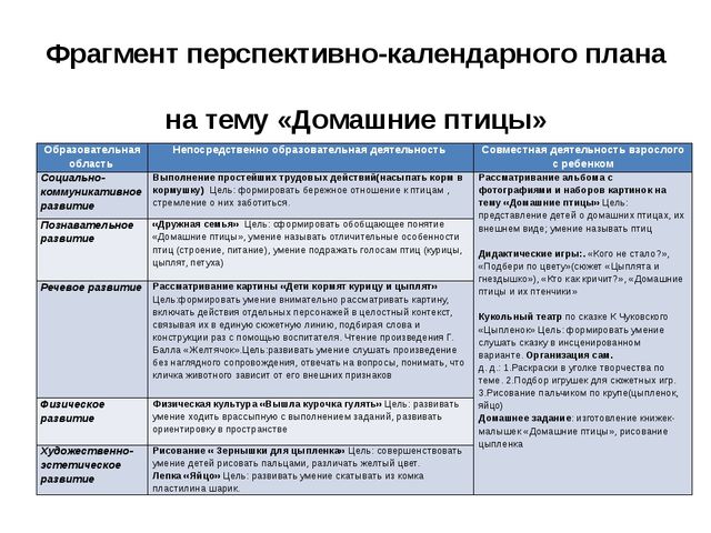 ПРОЕКТ по познавательному развитию в 1 младшей группе на тему: "Домашние птицы"