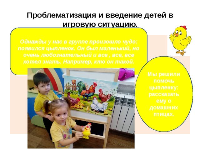 ПРОЕКТ по познавательному развитию в 1 младшей группе на тему: "Домашние птицы"