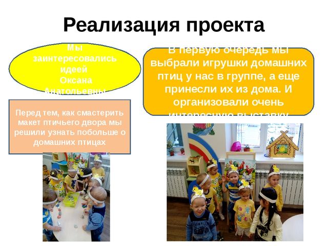 ПРОЕКТ по познавательному развитию в 1 младшей группе на тему: "Домашние птицы"
