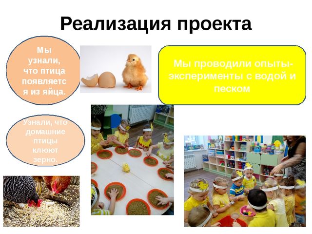 ПРОЕКТ по познавательному развитию в 1 младшей группе на тему: "Домашние птицы"