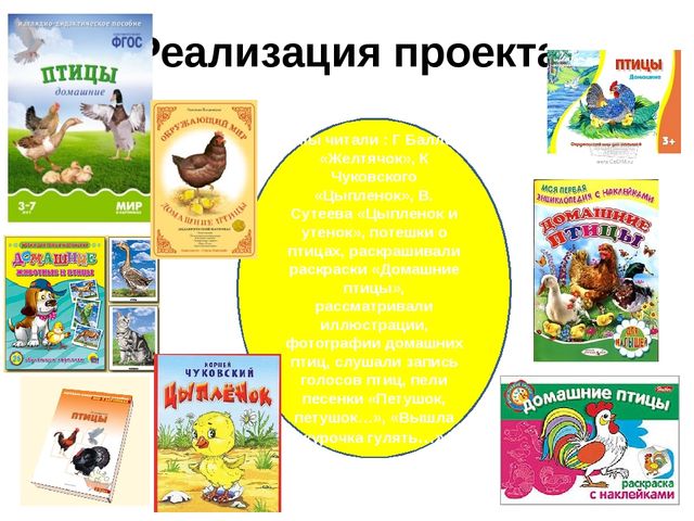 ПРОЕКТ по познавательному развитию в 1 младшей группе на тему: "Домашние птицы"