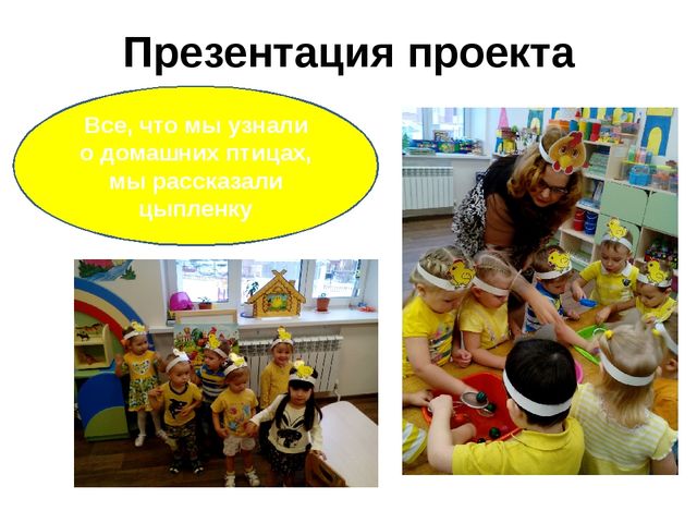 ПРОЕКТ по познавательному развитию в 1 младшей группе на тему: "Домашние птицы"