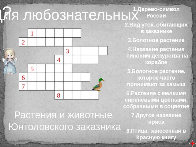 Презентация для старшего дошкольного возраста "Мой Приморский район"