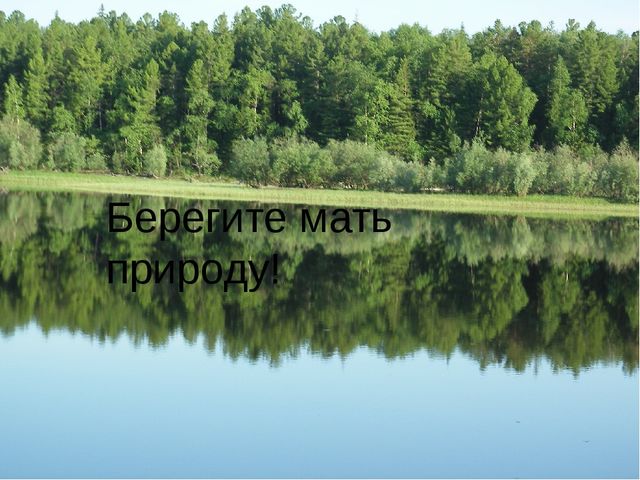 Презентация на тему : "Природа родного края"