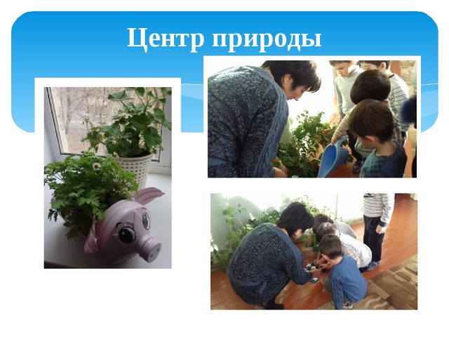 Презентация "Предметно-развивающая среда моей группы"