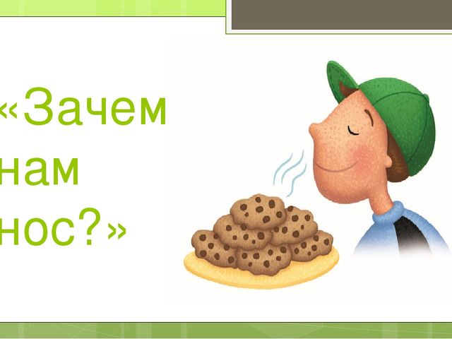 Презентация по валеологии - Зачем нам нос? (средняя группа)