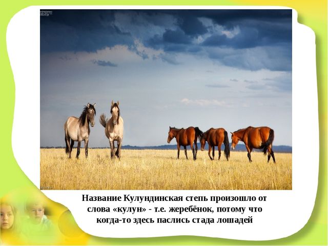 Презентация для детей старшего дошкольного возраста "Степные животные Алтайского края"