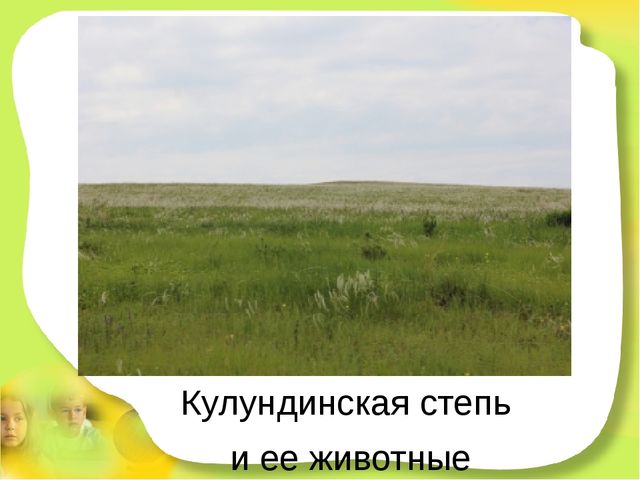 Презентация для детей старшего дошкольного возраста "Степные животные Алтайского края"