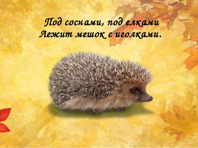 Презентация "Как животные готовятся к зиме"