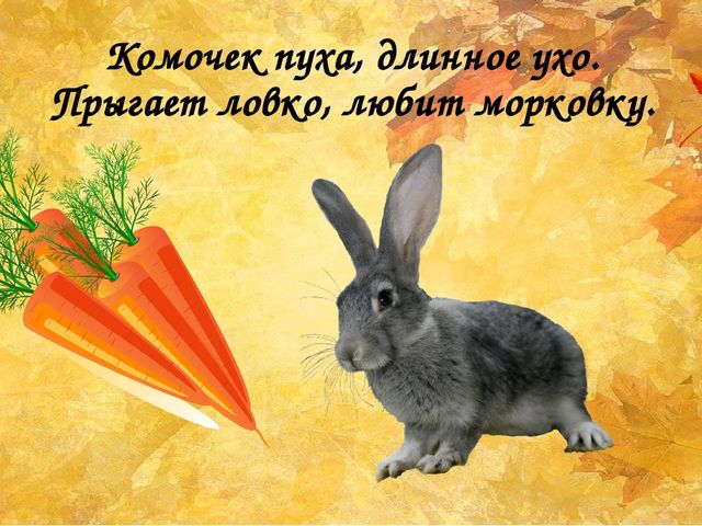 Презентация "Как животные готовятся к зиме"