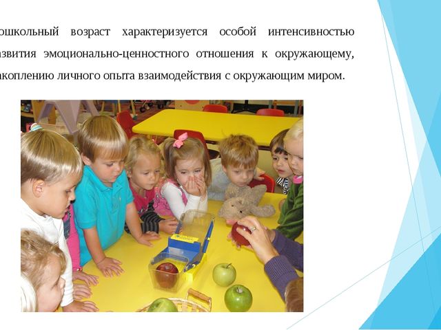 Современный подход к реализации экологического воспитания в ДОО