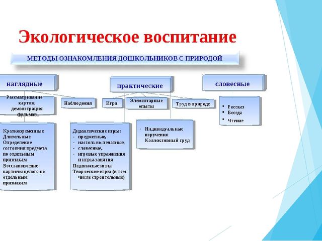 Современный подход к реализации экологического воспитания в ДОО