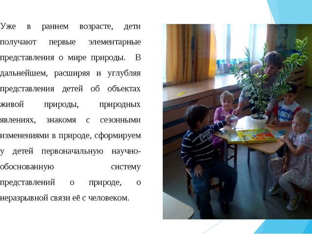 Современный подход к реализации экологического воспитания в ДОО
