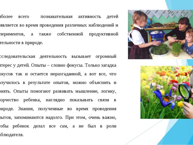 Современный подход к реализации экологического воспитания в ДОО