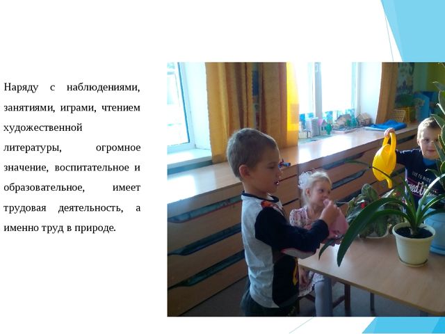 Современный подход к реализации экологического воспитания в ДОО